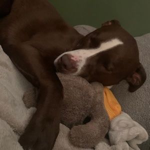 Meet your Posher, Emma